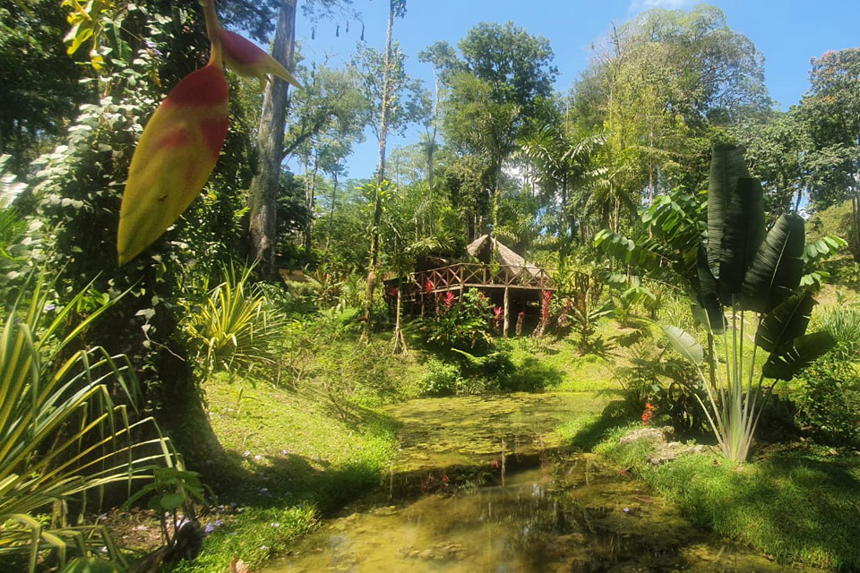 VILLAS CHAGÜITE